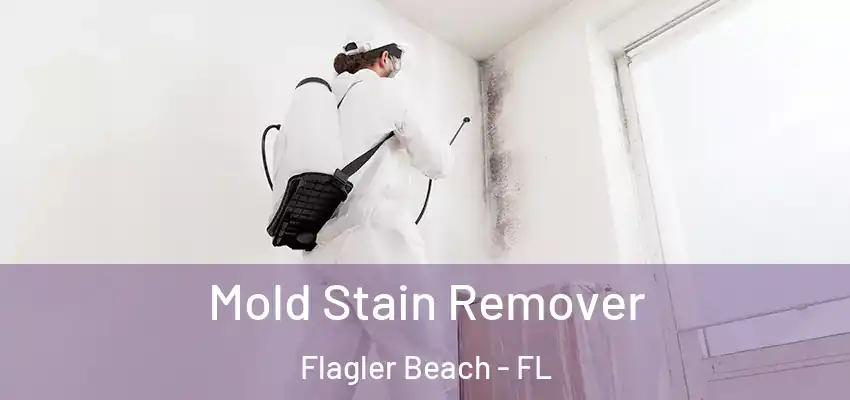  Mold Stain Remover Flagler Beach - FL