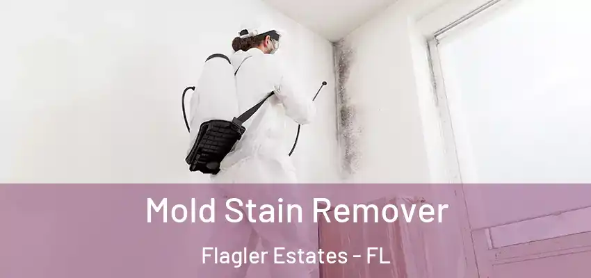  Mold Stain Remover Flagler Estates - FL