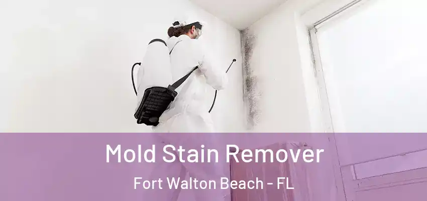  Mold Stain Remover Fort Walton Beach - FL