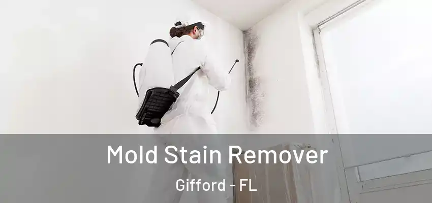 Mold Stain Remover Gifford - FL