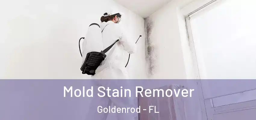  Mold Stain Remover Goldenrod - FL