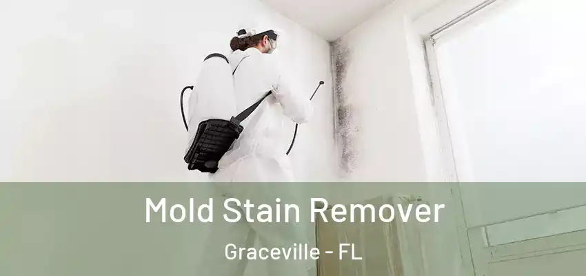 Mold Stain Remover Graceville - FL