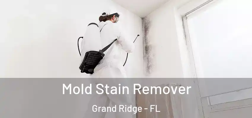  Mold Stain Remover Grand Ridge - FL