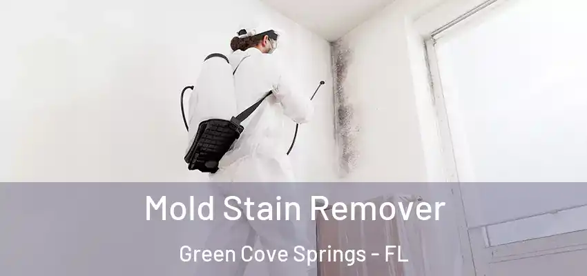 Mold Stain Remover Green Cove Springs - FL