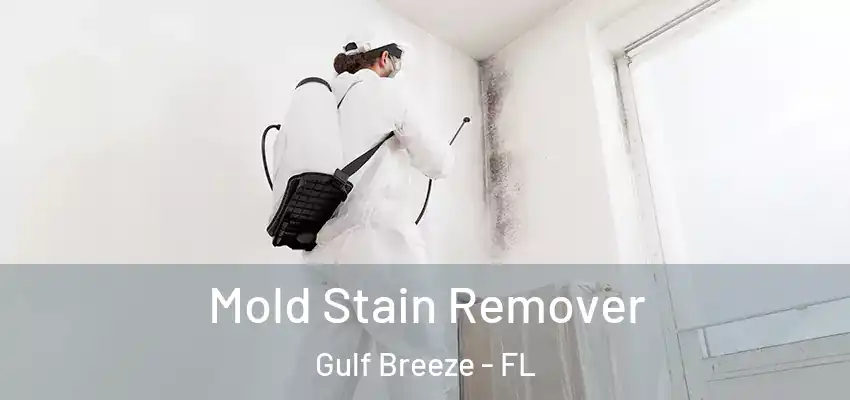 Mold Stain Remover Gulf Breeze - FL