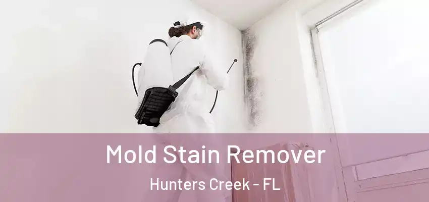  Mold Stain Remover Hunters Creek - FL