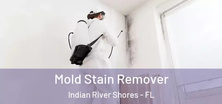  Mold Stain Remover Indian River Shores - FL
