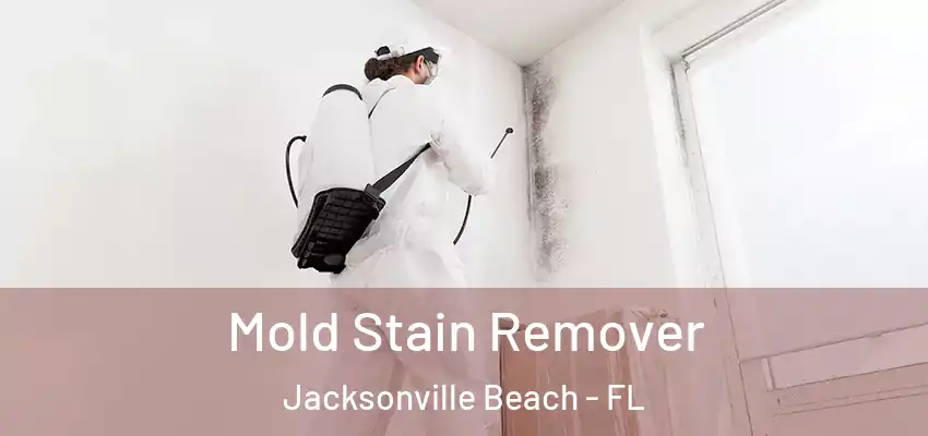  Mold Stain Remover Jacksonville Beach - FL