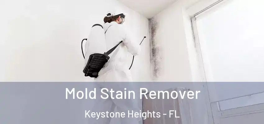  Mold Stain Remover Keystone Heights - FL