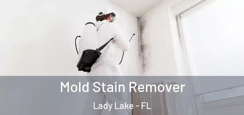  Mold Stain Remover Lady Lake - FL
