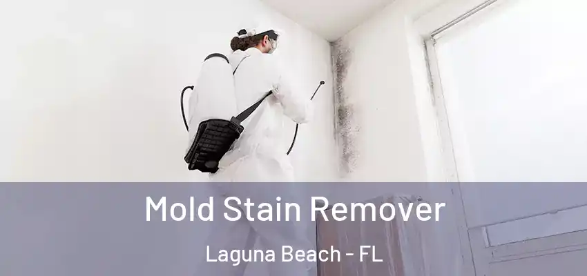  Mold Stain Remover Laguna Beach - FL