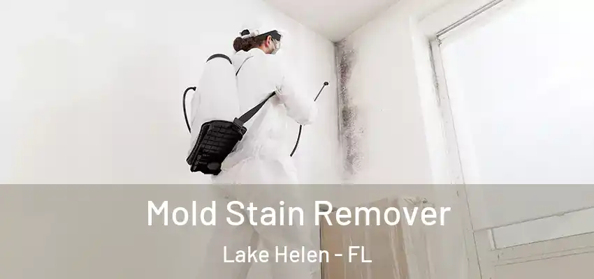 Mold Stain Remover Lake Helen - FL