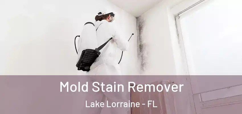  Mold Stain Remover Lake Lorraine - FL