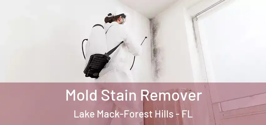  Mold Stain Remover Lake Mack-Forest Hills - FL