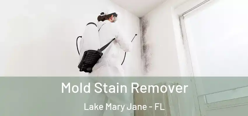  Mold Stain Remover Lake Mary Jane - FL