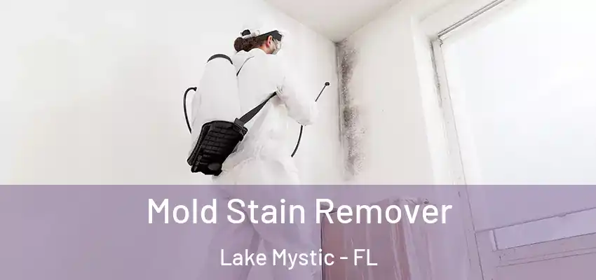 Mold Stain Remover Lake Mystic - FL