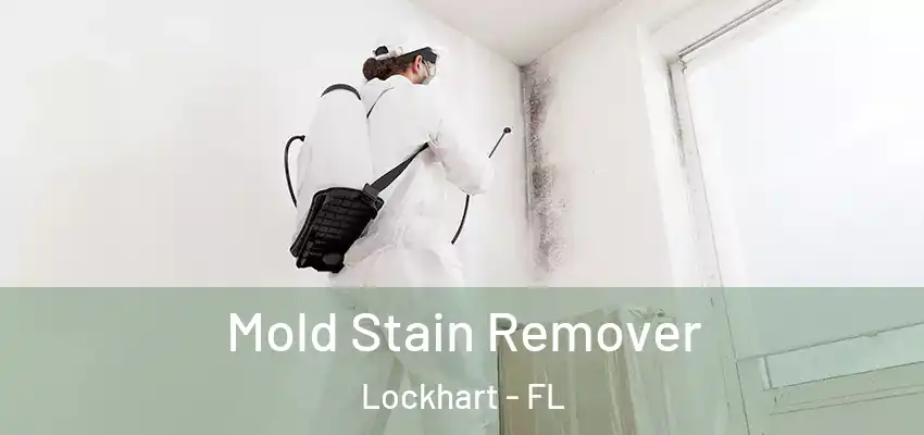 Mold Stain Remover Lockhart - FL
