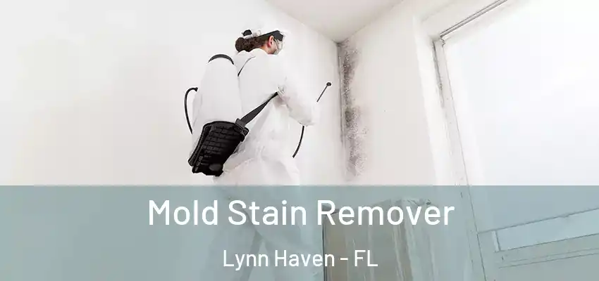  Mold Stain Remover Lynn Haven - FL