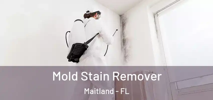  Mold Stain Remover Maitland - FL