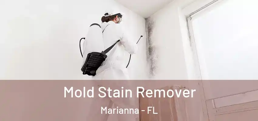 Mold Stain Remover Marianna - FL