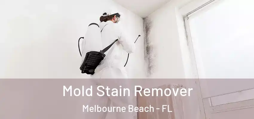  Mold Stain Remover Melbourne Beach - FL