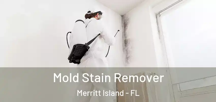 Mold Stain Remover Merritt Island - FL