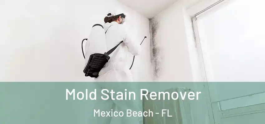 Mold Stain Remover Mexico Beach - FL