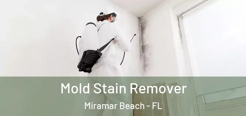  Mold Stain Remover Miramar Beach - FL
