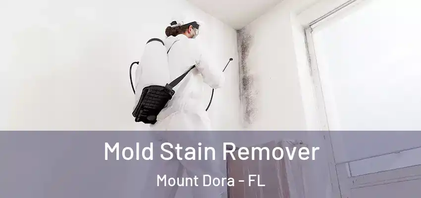 Mold Stain Remover Mount Dora - FL