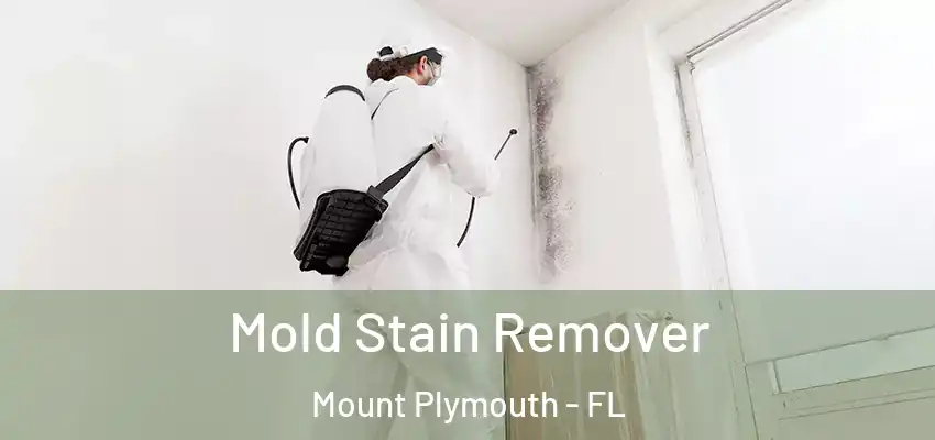  Mold Stain Remover Mount Plymouth - FL
