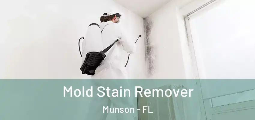  Mold Stain Remover Munson - FL