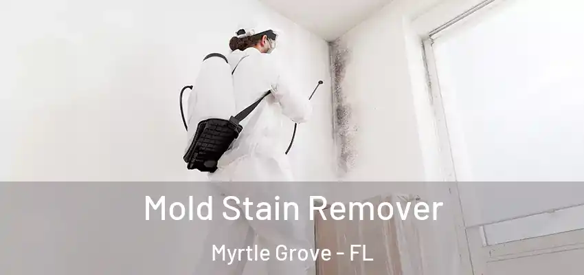  Mold Stain Remover Myrtle Grove - FL