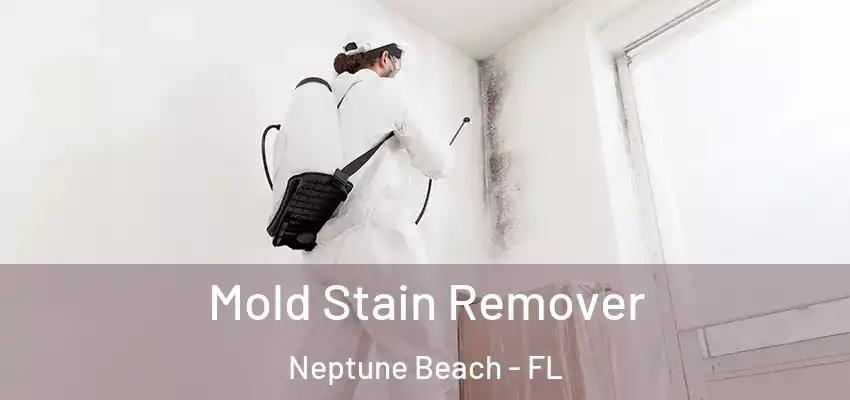 Mold Stain Remover Neptune Beach - FL