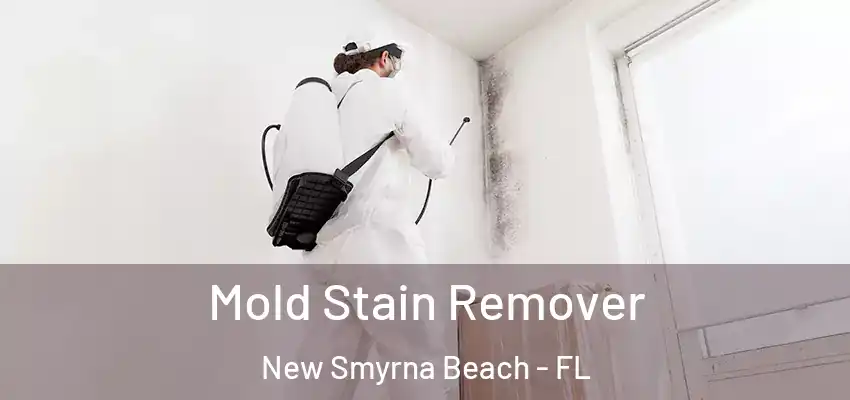  Mold Stain Remover New Smyrna Beach - FL