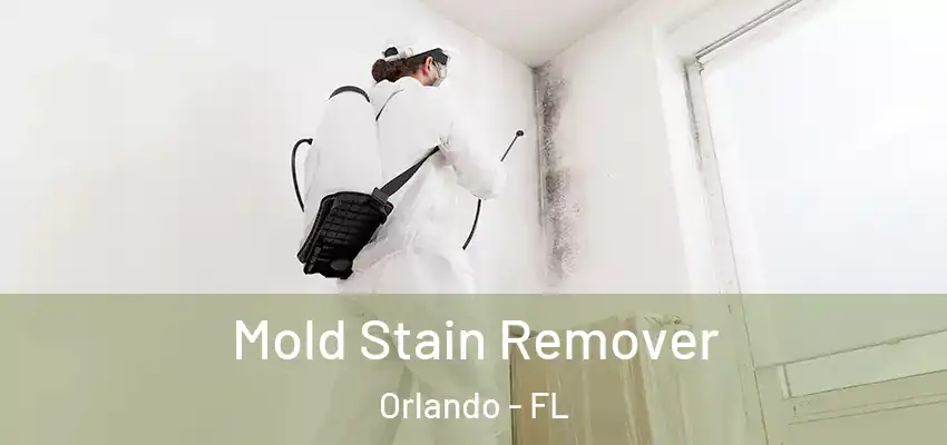  Mold Stain Remover Orlando - FL
