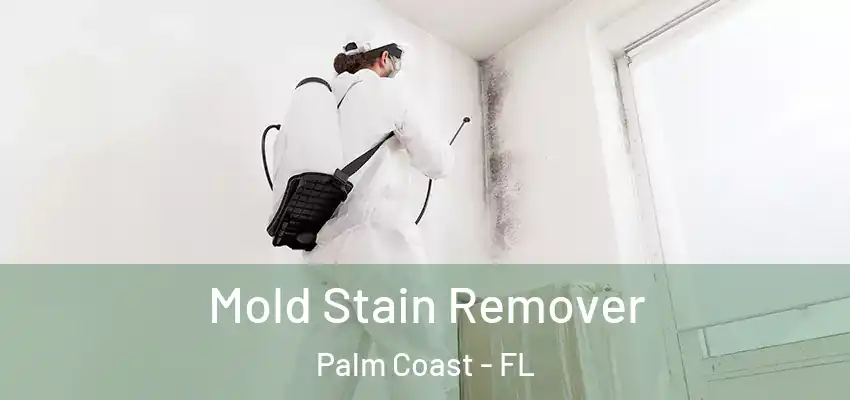  Mold Stain Remover Palm Coast - FL