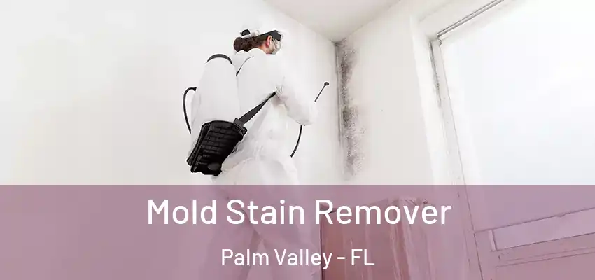  Mold Stain Remover Palm Valley - FL