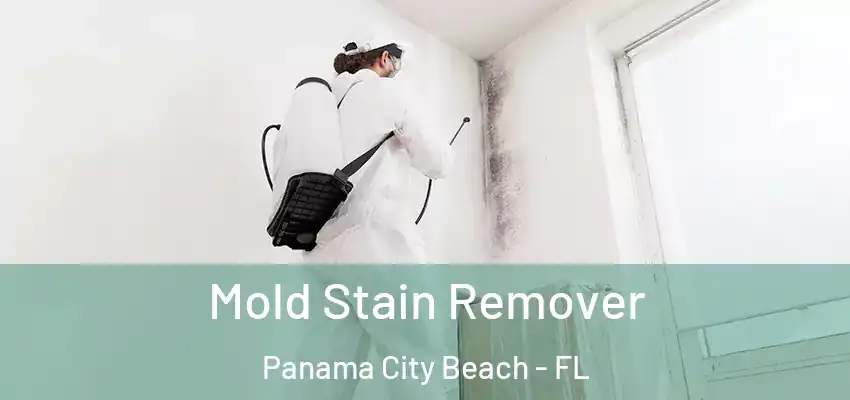 Mold Stain Remover Panama City Beach - FL