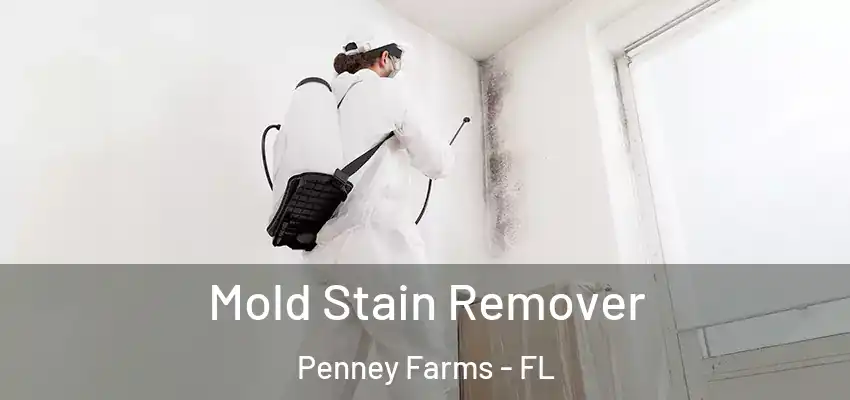  Mold Stain Remover Penney Farms - FL