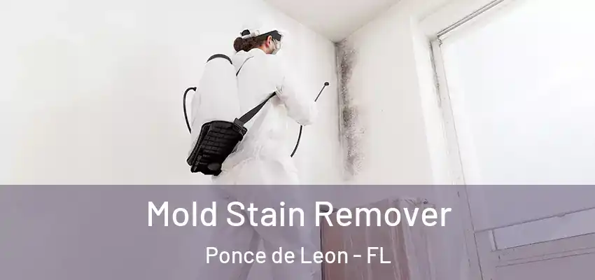 Mold Stain Remover Ponce de Leon - FL
