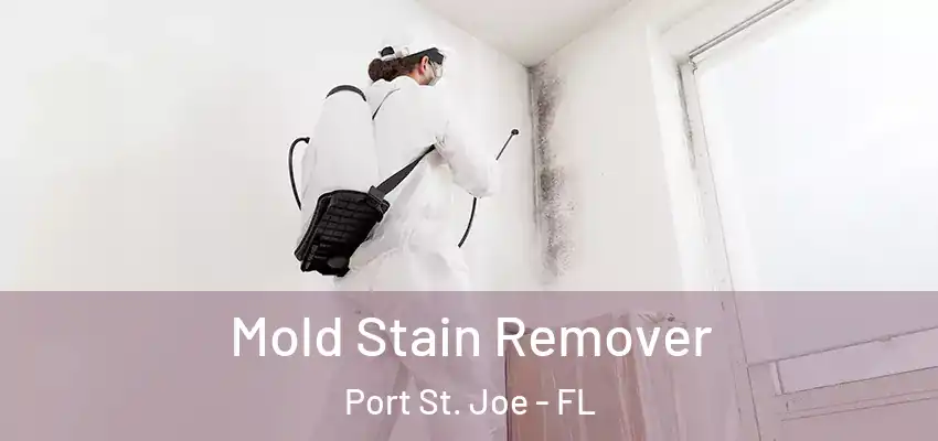 Mold Stain Remover Port St. Joe - FL