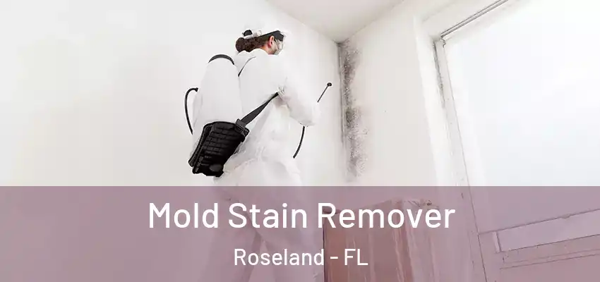  Mold Stain Remover Roseland - FL