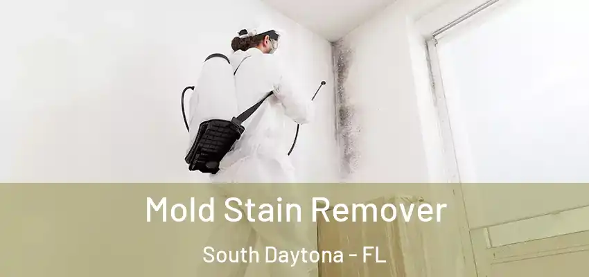  Mold Stain Remover South Daytona - FL