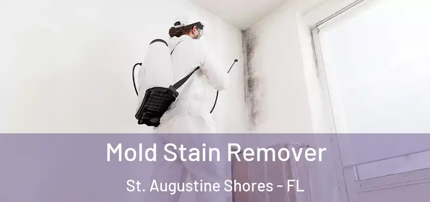 Mold Stain Remover St. Augustine Shores - FL