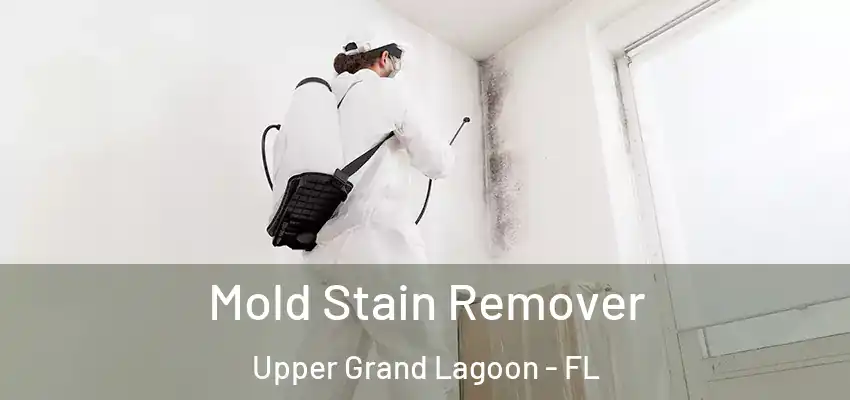 Mold Stain Remover Upper Grand Lagoon - FL