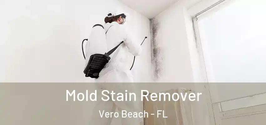  Mold Stain Remover Vero Beach - FL
