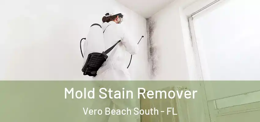  Mold Stain Remover Vero Beach South - FL