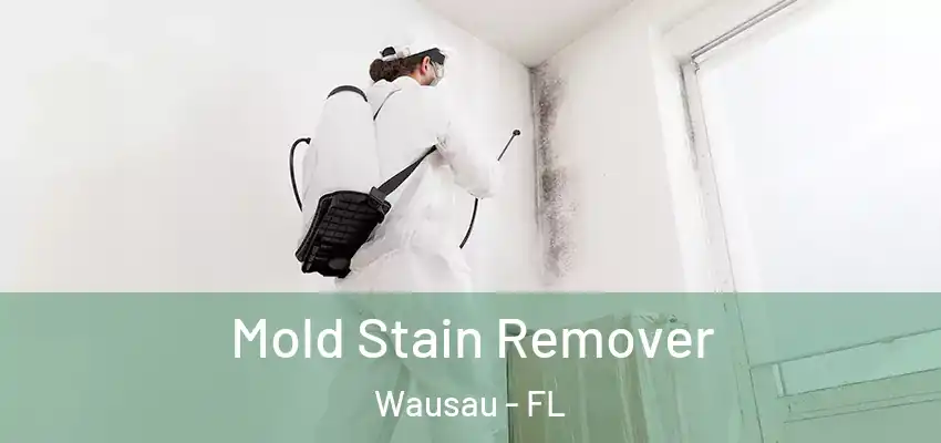 Mold Stain Remover Wausau - FL