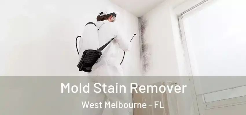 Mold Stain Remover West Melbourne - FL