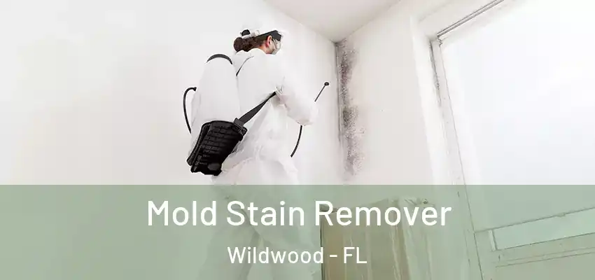  Mold Stain Remover Wildwood - FL
